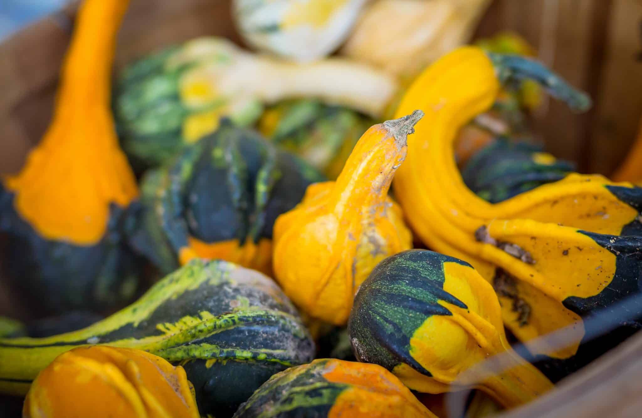 Farmers Market Gallatin, TN Gallatin Chamber of Commerce