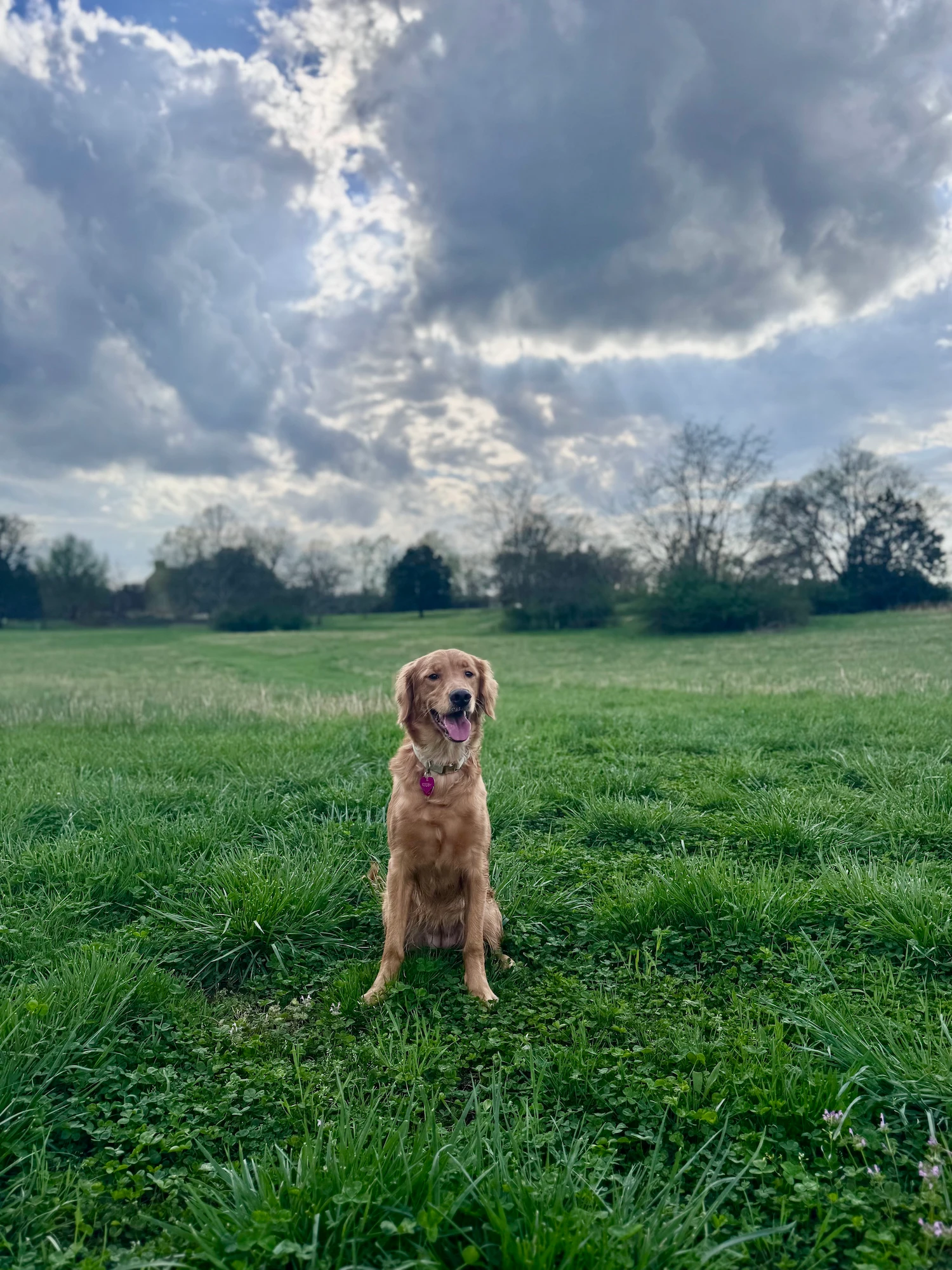 Rooby casual photo