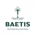 beatis